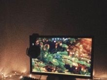 Setup Gaming