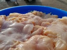 Vjamgusebio 049 464 772 