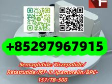 TB-500	77591-33-4 	 	 Ara-290	1208243-50-8 Snap-8	868844-74-0