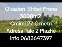 Okazion shitet prona 3000m2 Adresa  Tale Lezhe