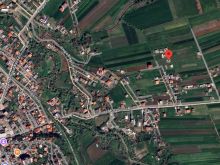 Momel(Kavaje),Shitet Truall, e mbjelle me rrenje ullishte 6 vjecare ,800  m nga qendra