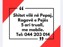 ✨ SHITET SHTËPIA NË PEPAJ, RUGOVË – 5 ARI TRUALL ✨🏡