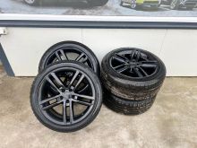 Fellne Audi 19coll