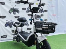 Skuter Elektrik NAS Model 2023 Extra