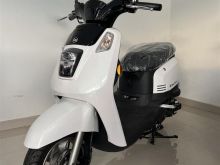 SYM Tini 110CC Model 00KM