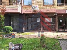 Lokal ne shtije te Santea🏢 