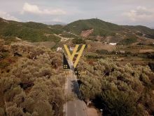 SHITET TOKE 4700 M2 NE PICALLE 165.000 EURO