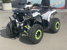 Shes Atv 250c