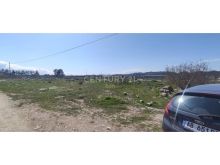 SHITET TOKE NE SPITALLE,DURRES - 11424m2.
