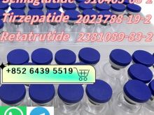 910463-68-2 Semaglutide 2023788-19-2 Tirzepatide 2381089-83-2 Retatrutide
