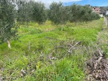 Shitet toke are+ndertese e banueshme 40m2 ne Manez Durres