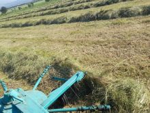 San dora e parë sot lidhet kismet e gjelbër osht