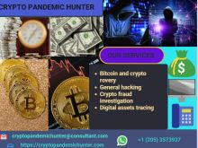 DIGITAL ASSETS RECOVERY WITH CRYPTO PANDEMIC HUNTER