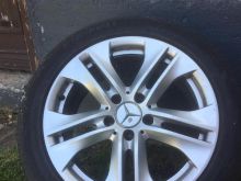 Fellne Mercedes Benz