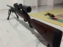 Karabini 30-06 Mosberg