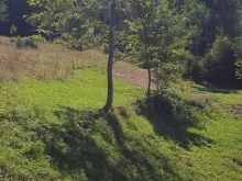 ➡️ Shiten 65 ari tokë📌 Në Rugovë të Pejës , në bjeshket e Liqenit të fshatit Drelaj ✅Ka qasje në rrymë, ujë , rrugë, internet. ✅Lartësia 1650 m ✅Pranojm kompenzim 50/50, banesa në Fushë Kosovë 