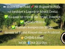 ➡️ Shiten 65 ari tokë📌 Në Rugovë të Pejës ,  në bjeshket e Liqenit të fshatit Drelaj ✅Ka qasje në rrymë, ujë , rrugë, internet. 