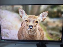 27 LG UltraGear 1440(2K) 144Hz