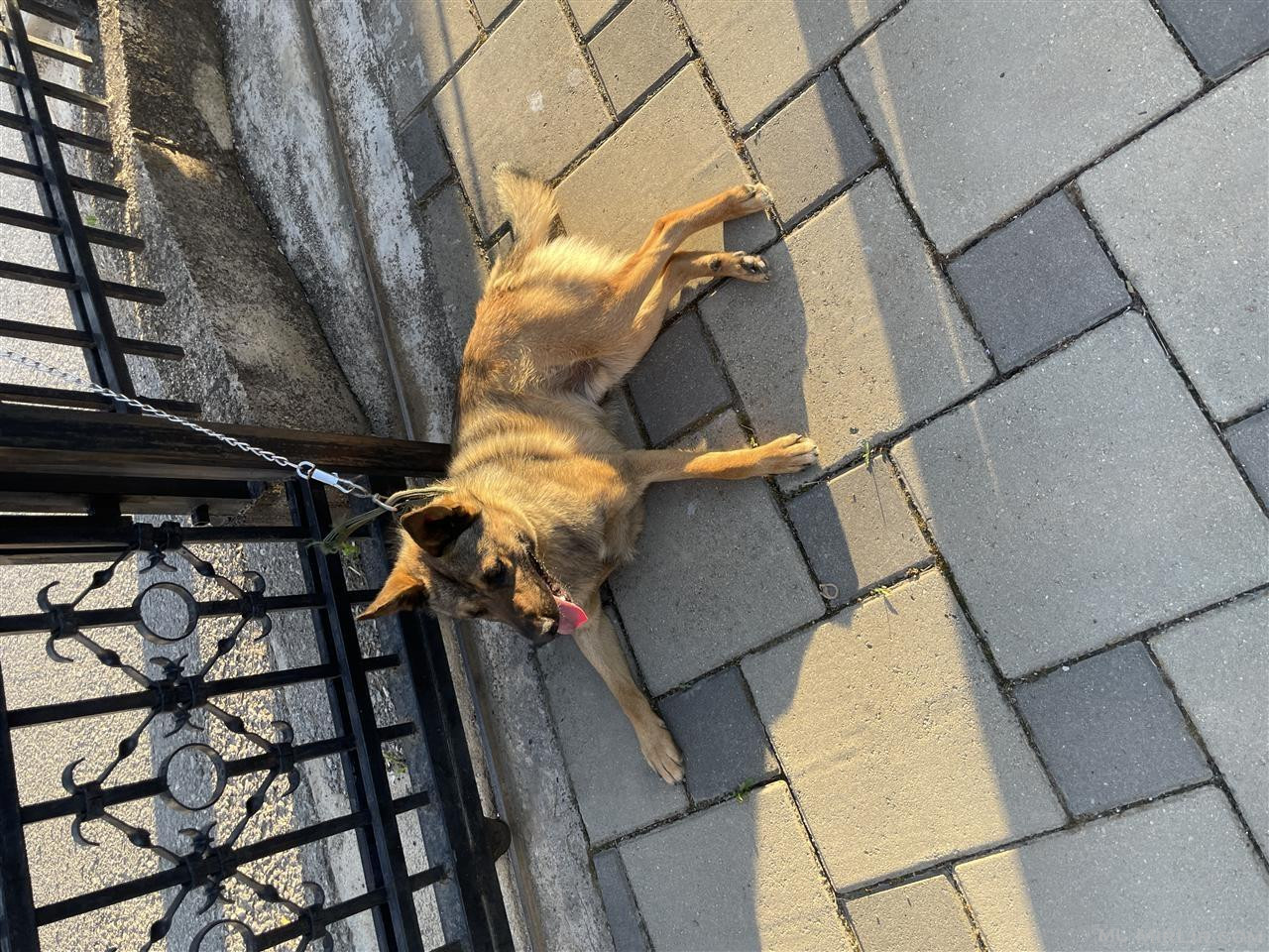 Roki