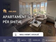 Apartament 1+1 në shitje – Mali i Robit