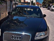 Shes Audi A6