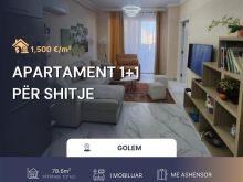 🏡 Apartament 1+1 në shitje – Golem