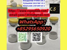 Semaglutide 910463-68-2-68-2 Tirzepatide 2023788-19-2 Retatrutide 2381089-83-2