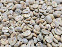Cashew Nuts and Arabica Coffee beans Exporter