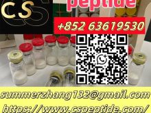 Semaglutide