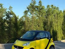 Smart