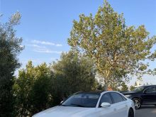 Audi A8 L