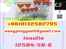 Insulin12584-58-6