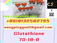 Glutathione70-18-8