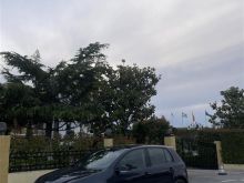 Golf 5