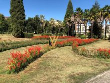 SHITET APARTAMENT 3+1+2+BLK TE KOPSHTI BOTANIK 235.000 EURO