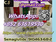 Semaglutide910463-68-2