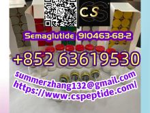 Retatrutide2381089-83-2