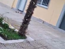 Shitet shtëpi në Velipojë – Kati i parë, me tapi