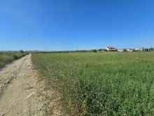 TOKE  PER SHITJE NE XHAFZOTAJ PRANE VEZES REA