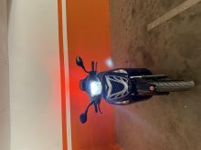 Lintex 300cc