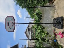 Kosh basketbolli