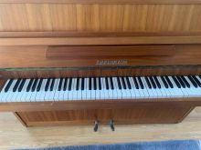 Piano e kafte Zimmerman