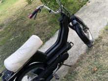 Shitet piaggio lezhe