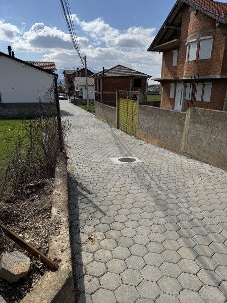 3 ari ne Prizren