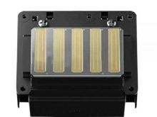 Epson PRO 11880C Printhead- F179000 / F179010 / F179030 (FORMALPRINT)