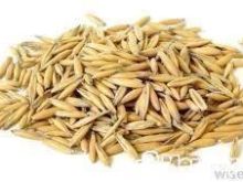 Blej Tershan 25 Cent per kg