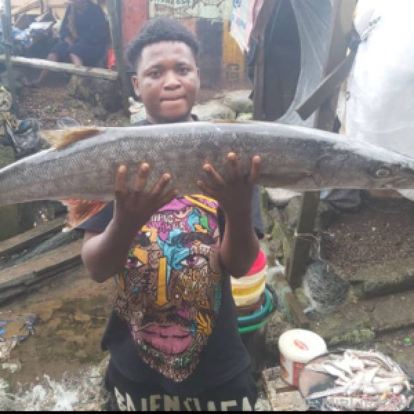 https://camseafoodworldwide.com/index.php