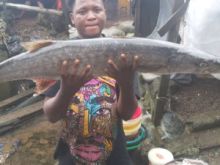 https://camseafoodworldwide.com/index.php