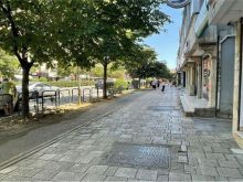 Shitet, Dyqan, Rruga \"Muhamet Gjollesha\", Tiranë - 290000€ |