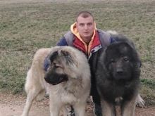 Bariu Kaukazian
